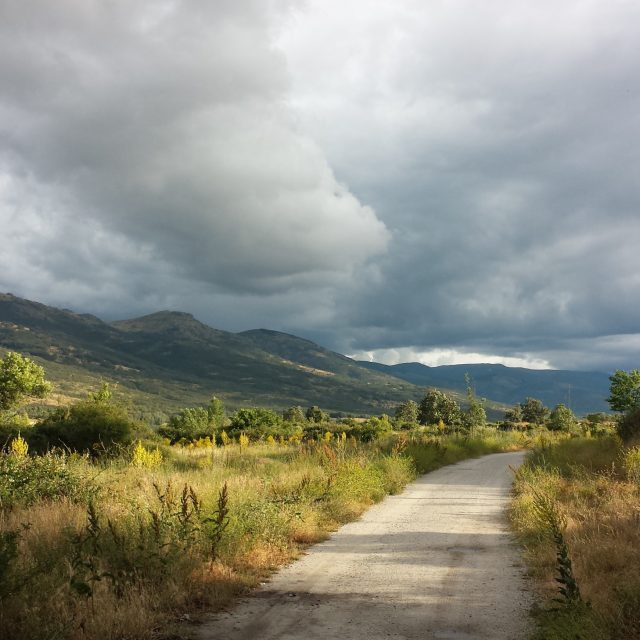Paseos botánicos
