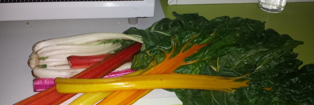 Colores en mi nevera