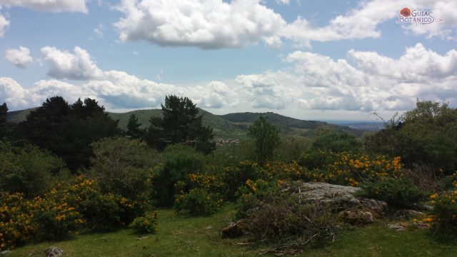 Cercedilla-Senda de los Campamentos