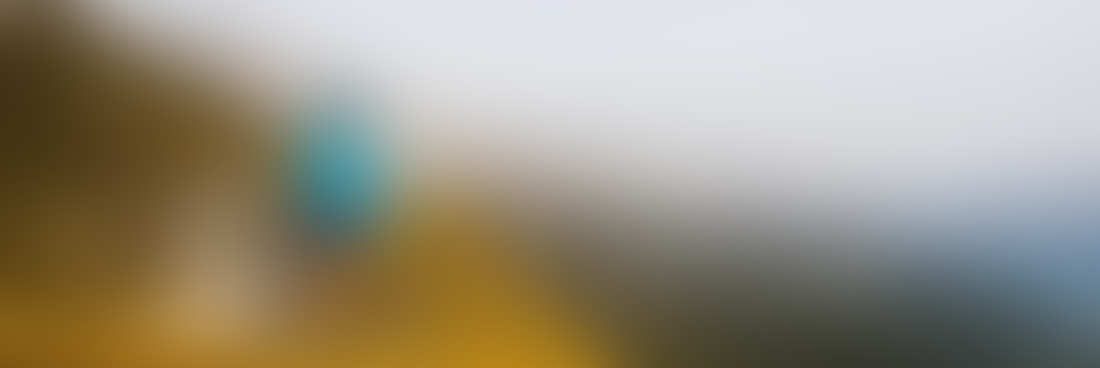 Biking in meadow fabulous scenery