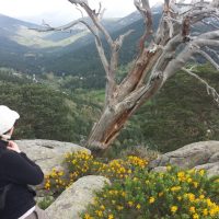 Cercedilla paisaje y gente